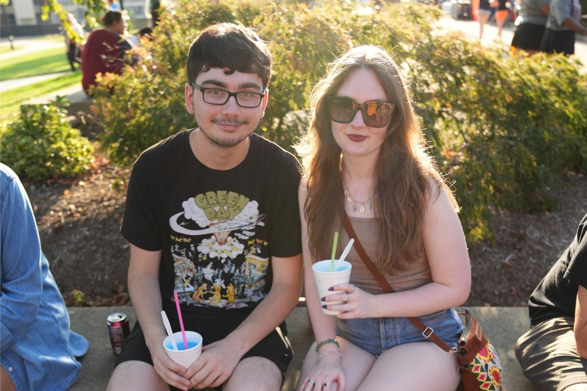 Welcoming Picnic