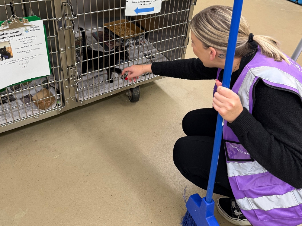Team 14 Volunteers at Young Williams Animal Shelter